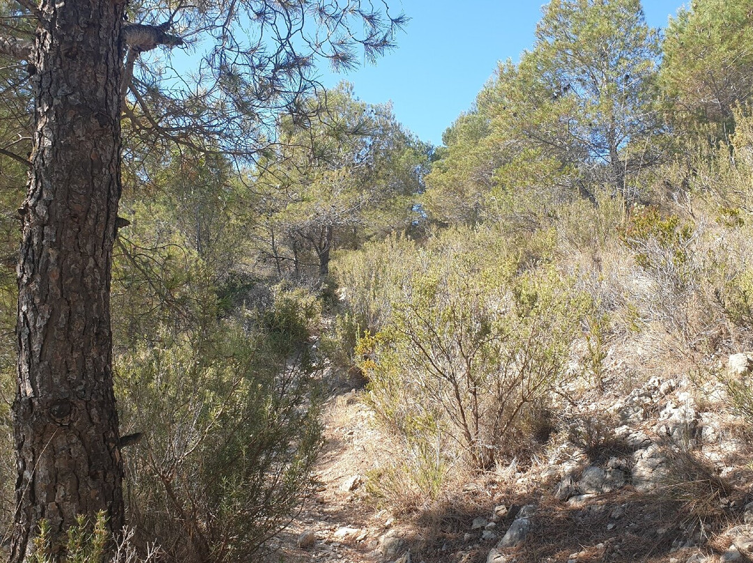 Barranco del Barbero景点图片