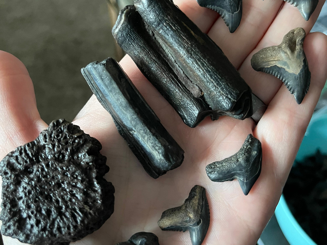 Peace Paleo Adventures