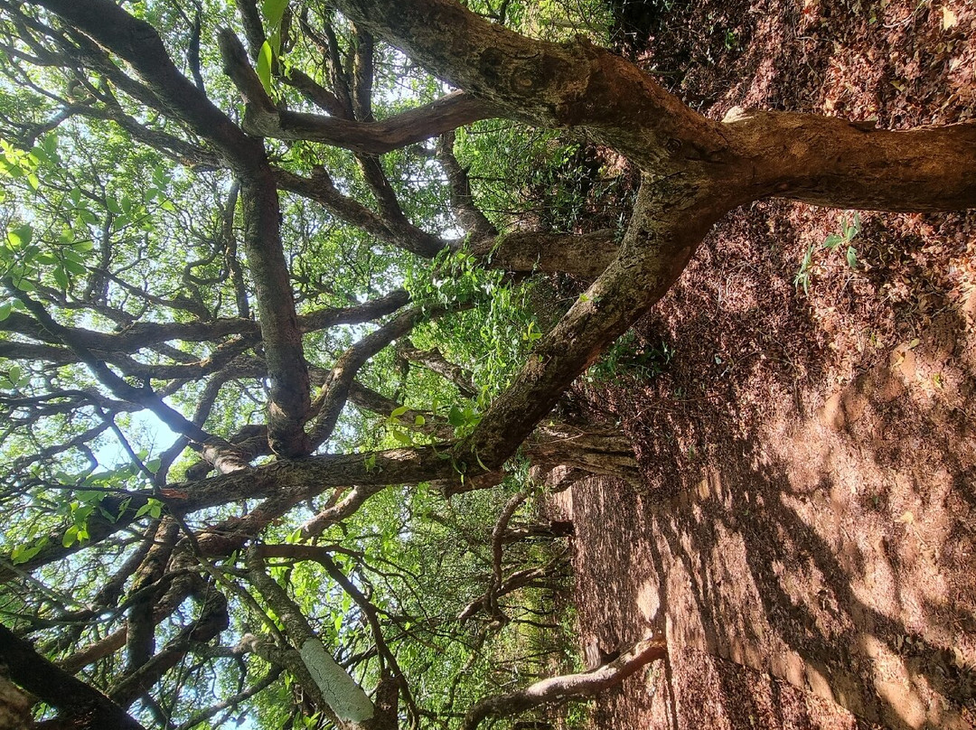 Gureghar Nature Trail景点图片