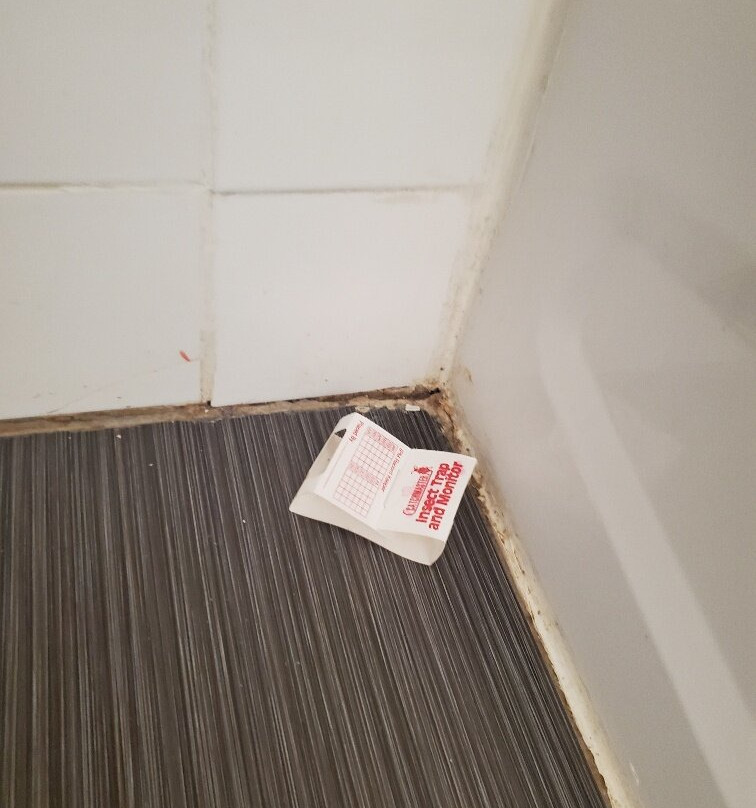 凯丽市中心酒店主图