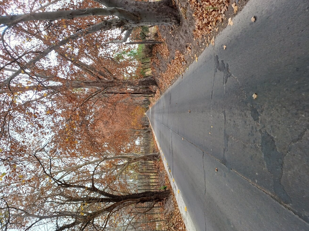 WineBeetle-Coquimbito必去景点