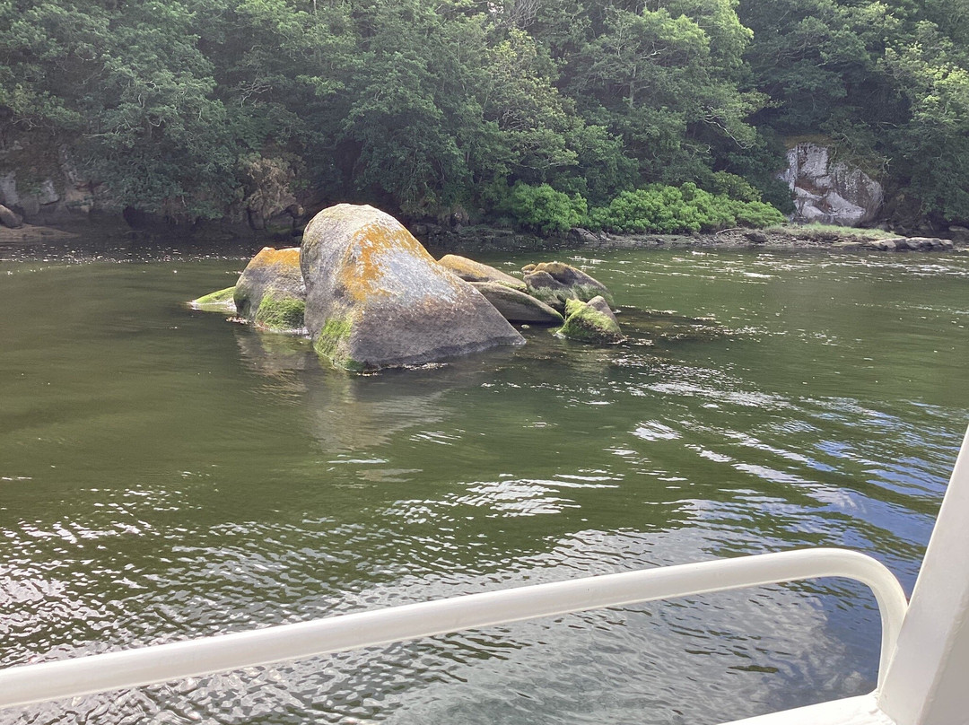 Vedettes Aven-Belon-Moelan sur Mer必去景点