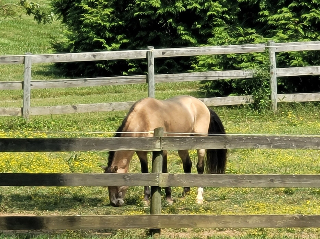 Keep Stables LLC at Chapel View Farm景点图片