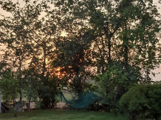 Tali酒店住宿-The Tigers Pugmark Resort