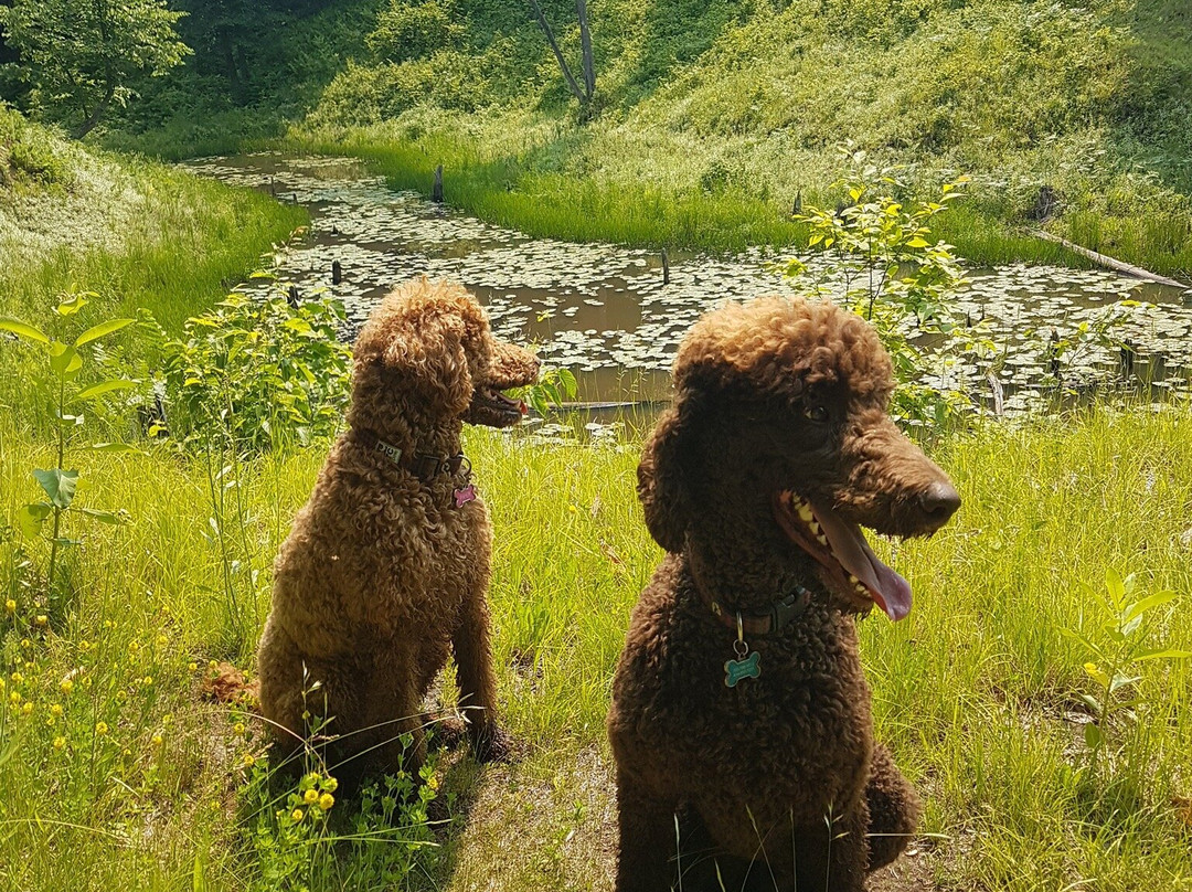 Green Acres Inn主图