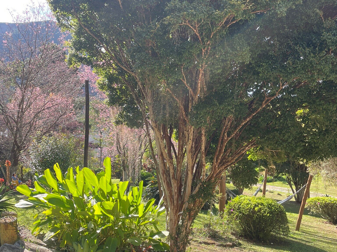 Pousada Alto do Vale主图