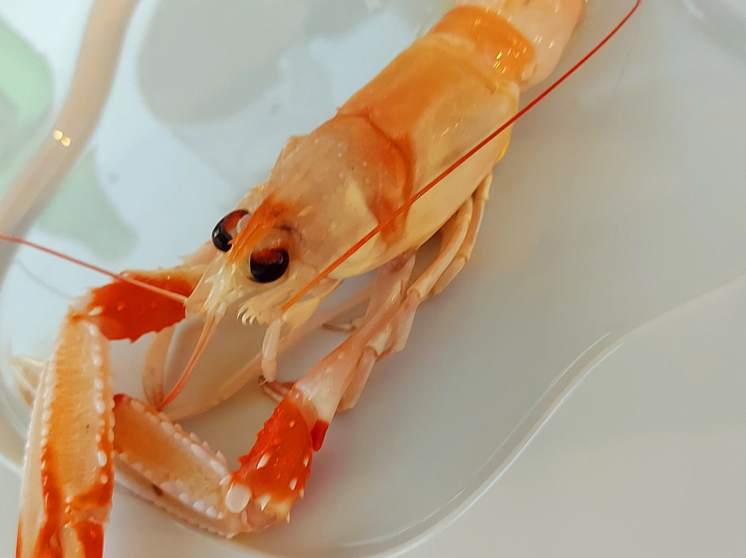 La Trattoria dei Combattenti Maccarese