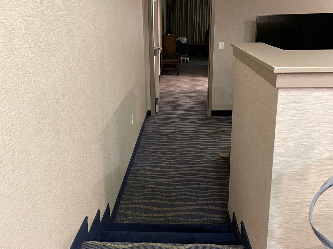 Homewood Suites by Hilton Grand Rapids主图