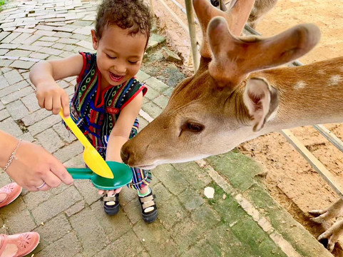 Yangshuo Cable Car-桂林市必去景点