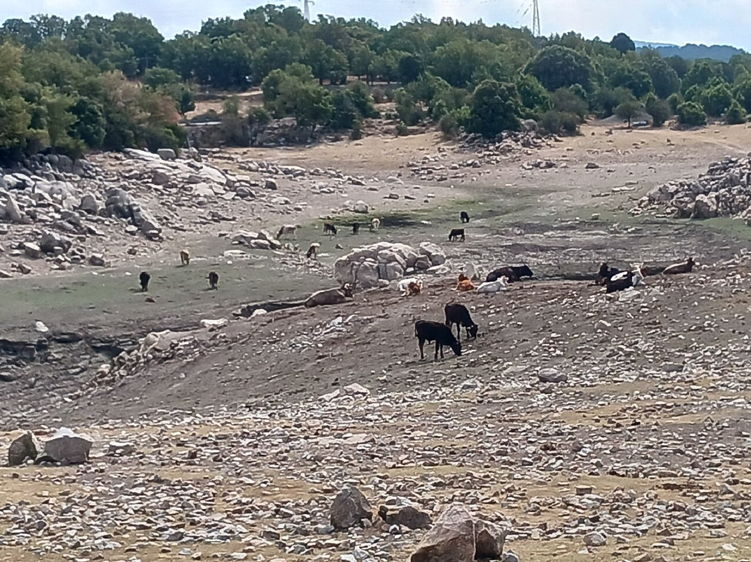 Lago Bau Muggeris-Villanova Strisaili必去景点