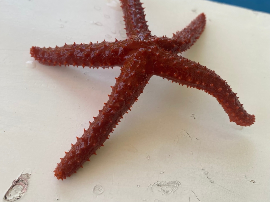 Parque Nacional Laguna de La Restinga-玛格丽塔岛必去景点