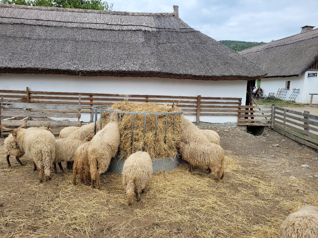 Hungarian Open Air Museum (Szabadtéri Néprajzi Múzeum)景点图片