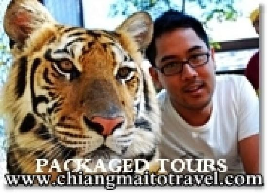 Chiang Mai To Travel Private Day Tours-讪巴东必去景点