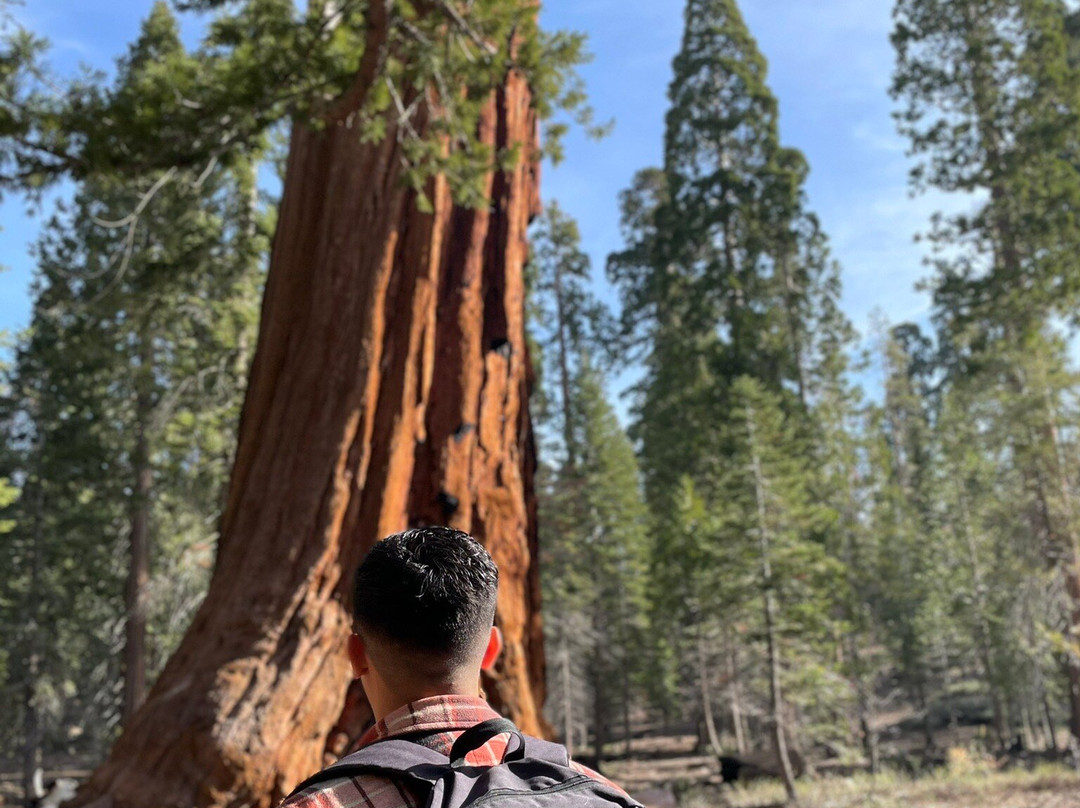 Sequoia National Forest-波特维尔必去景点