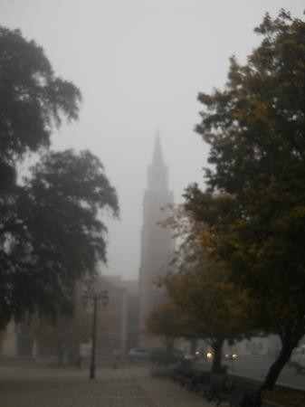 Maule Wine Route-塔尔卡必去景点