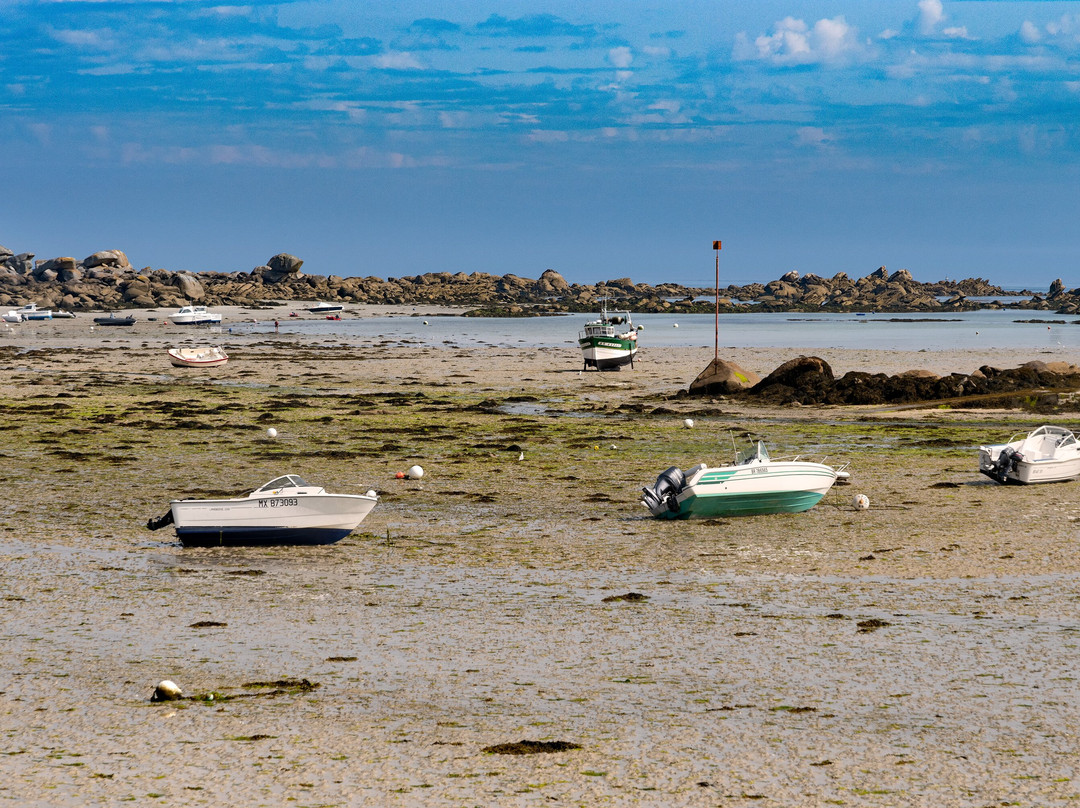 Port de Pontusval Marinas景点图片