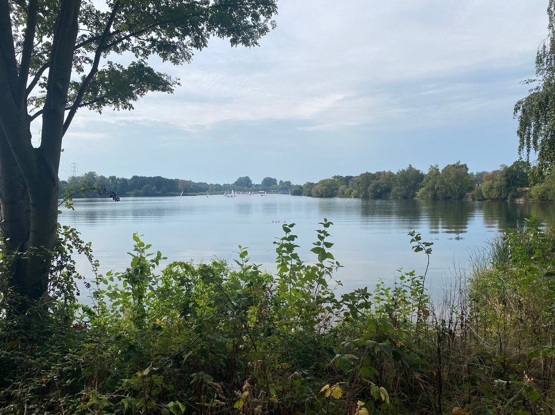 Papercourt Lake景点图片