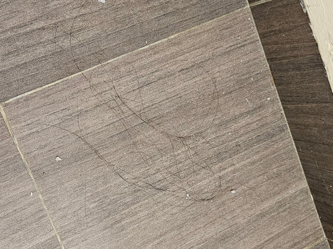 新加坡81酒店-迪生主图