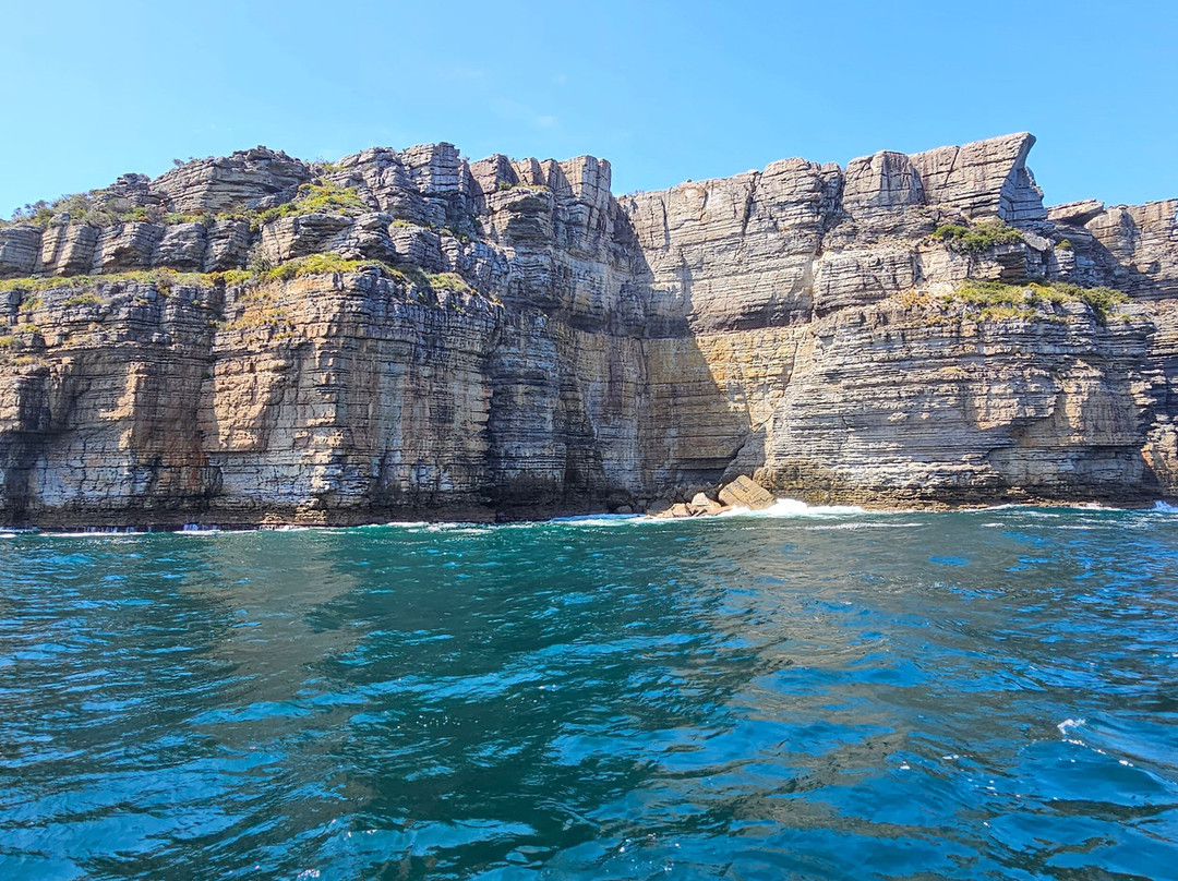 Dive Jervis Bay景点图片