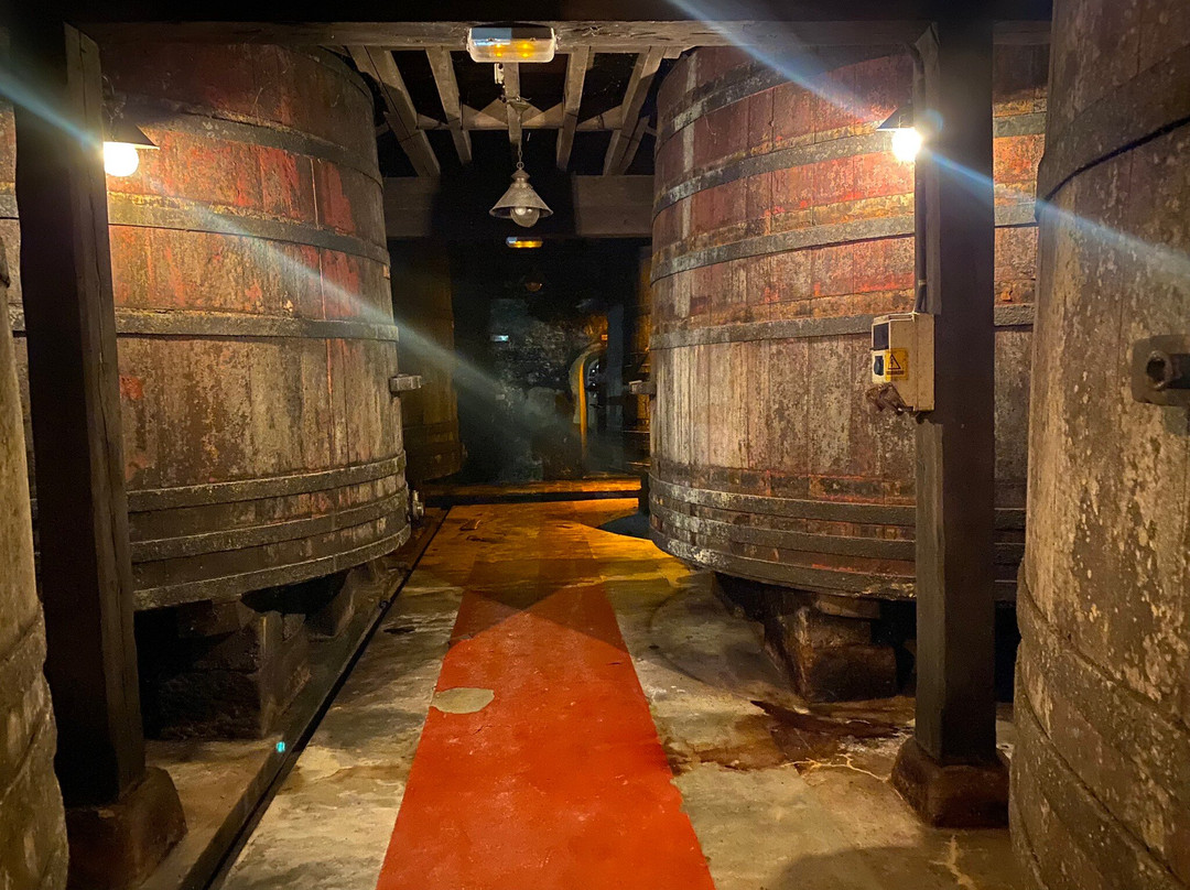 Bodegas Bilbainas-哈罗必去景点