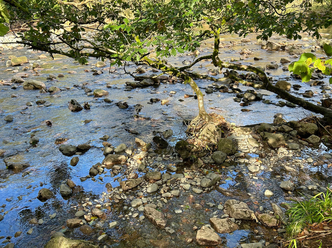 Stanley Ghyll Force Waterfall景点图片