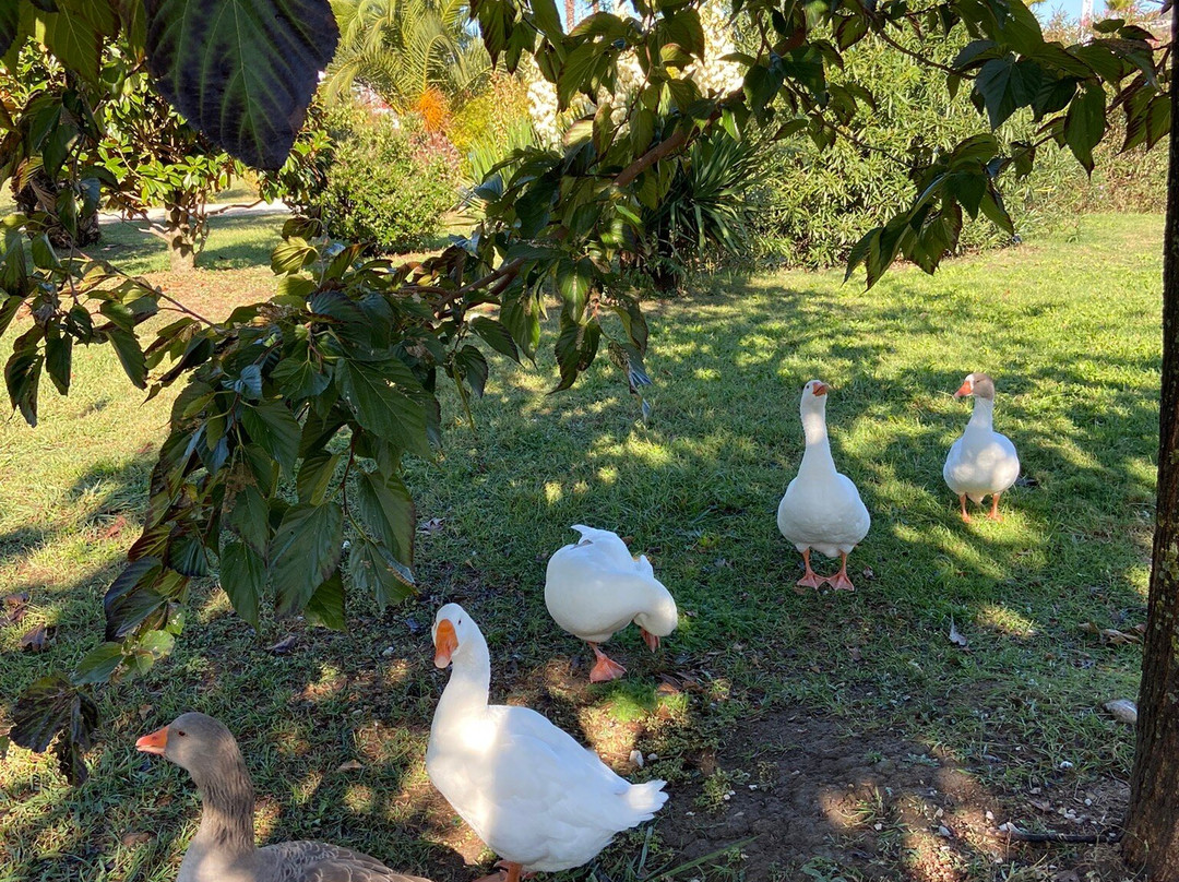 Natural Ornithological Park in the  Imereti Lowland-索契必去景点