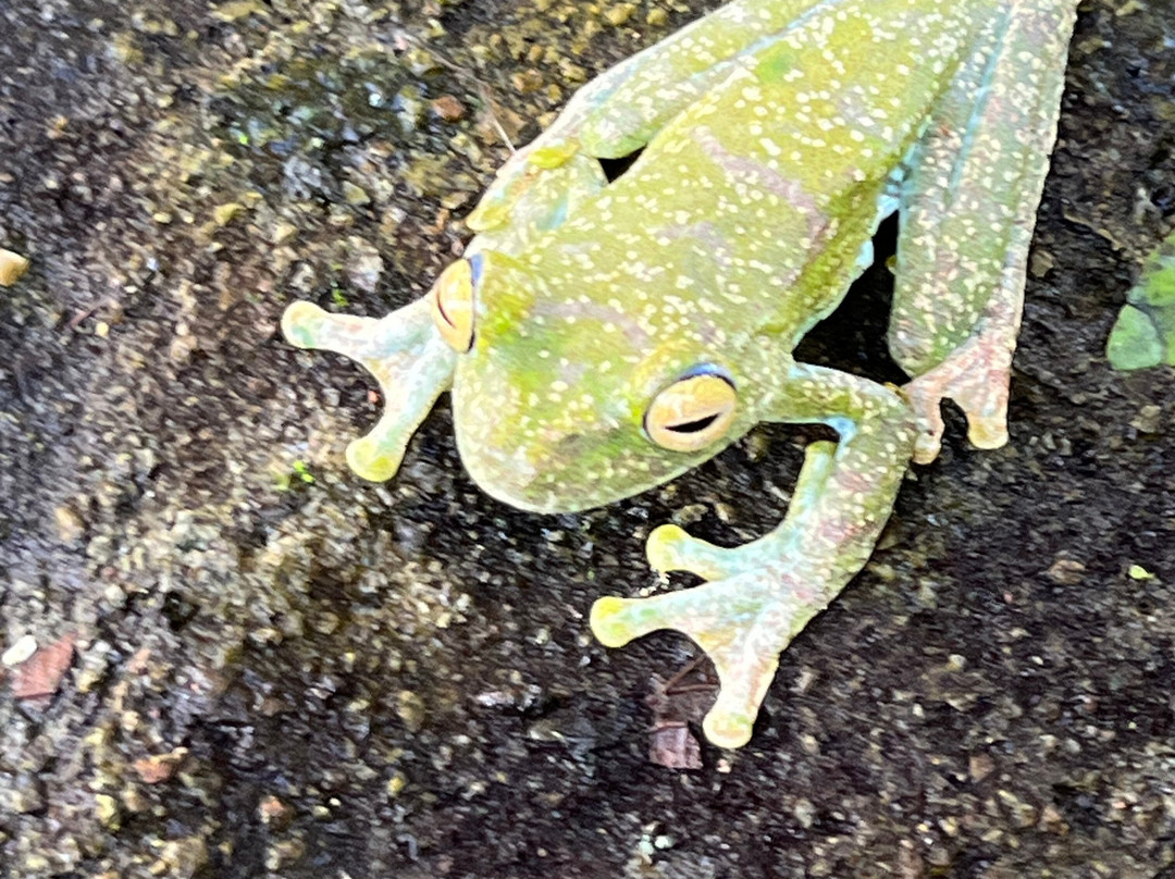 Kapari Natural Lodge & Spa主图