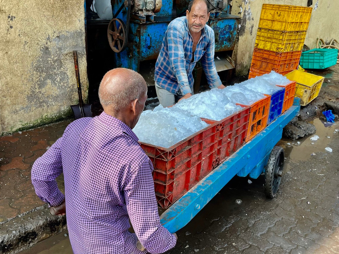 Sassoon Dock-孟买必去景点