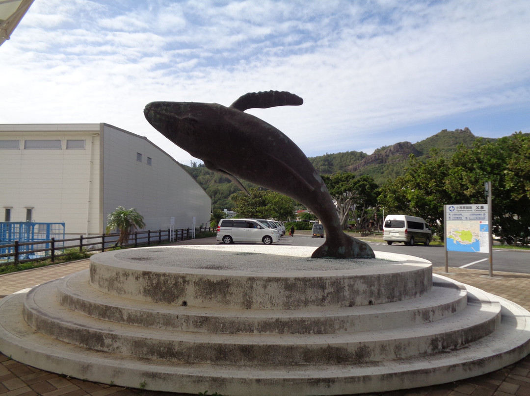 Monument of Whale-Chichi-jima必去景点