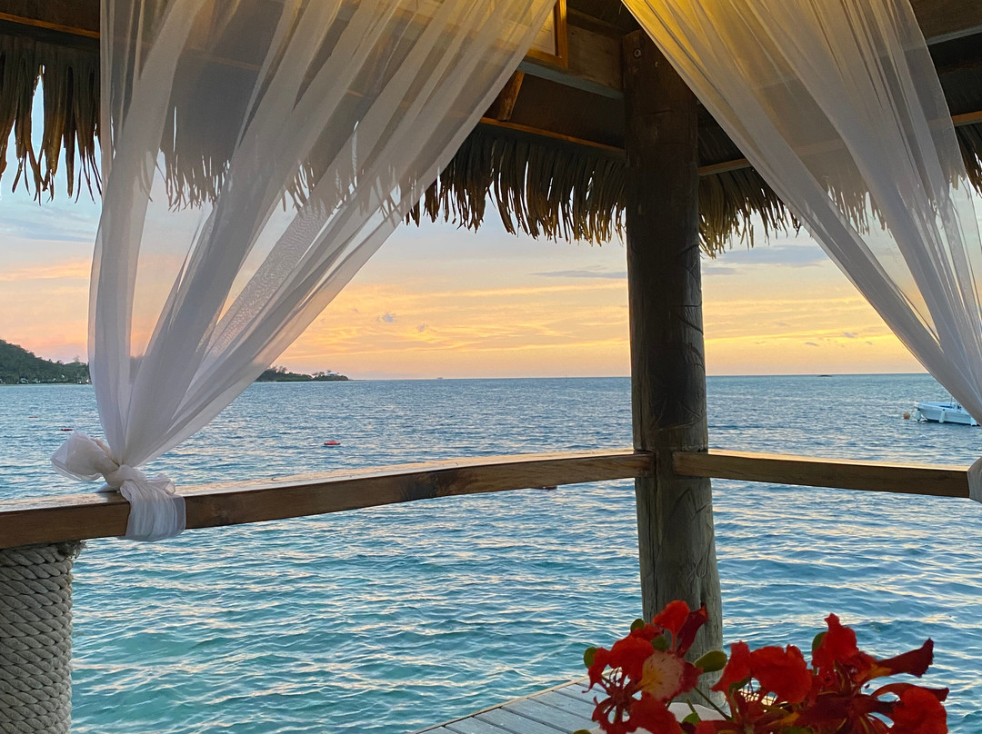 斐济托阔里奇岛喜来登水疗度假酒店主图