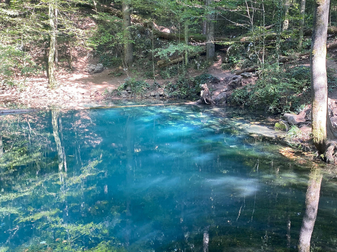 Ochiul Beiului Lake景点图片