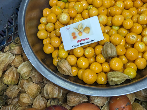 Real City Tours-麦德林必去景点