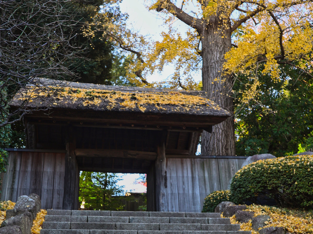 Tojogaoka Historical Park景点图片