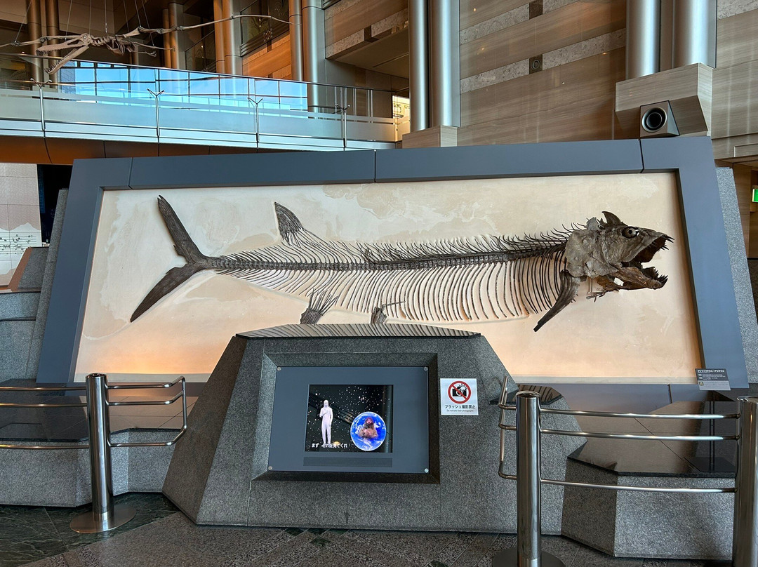 Kanagawa Prefectural Museum of Natural History景点图片