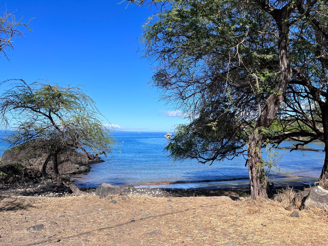 Maui Stand Up Paddle Adventures-基黑必去景点