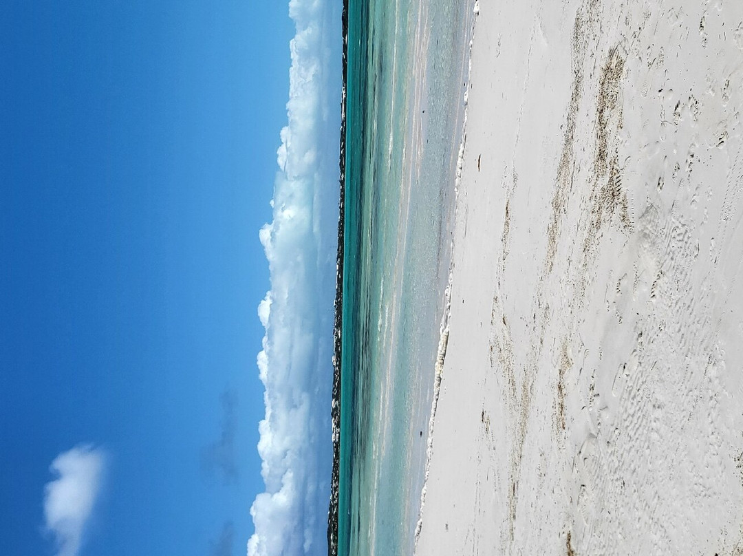 Turks Tour Company-普罗维登西亚莱斯必去景点