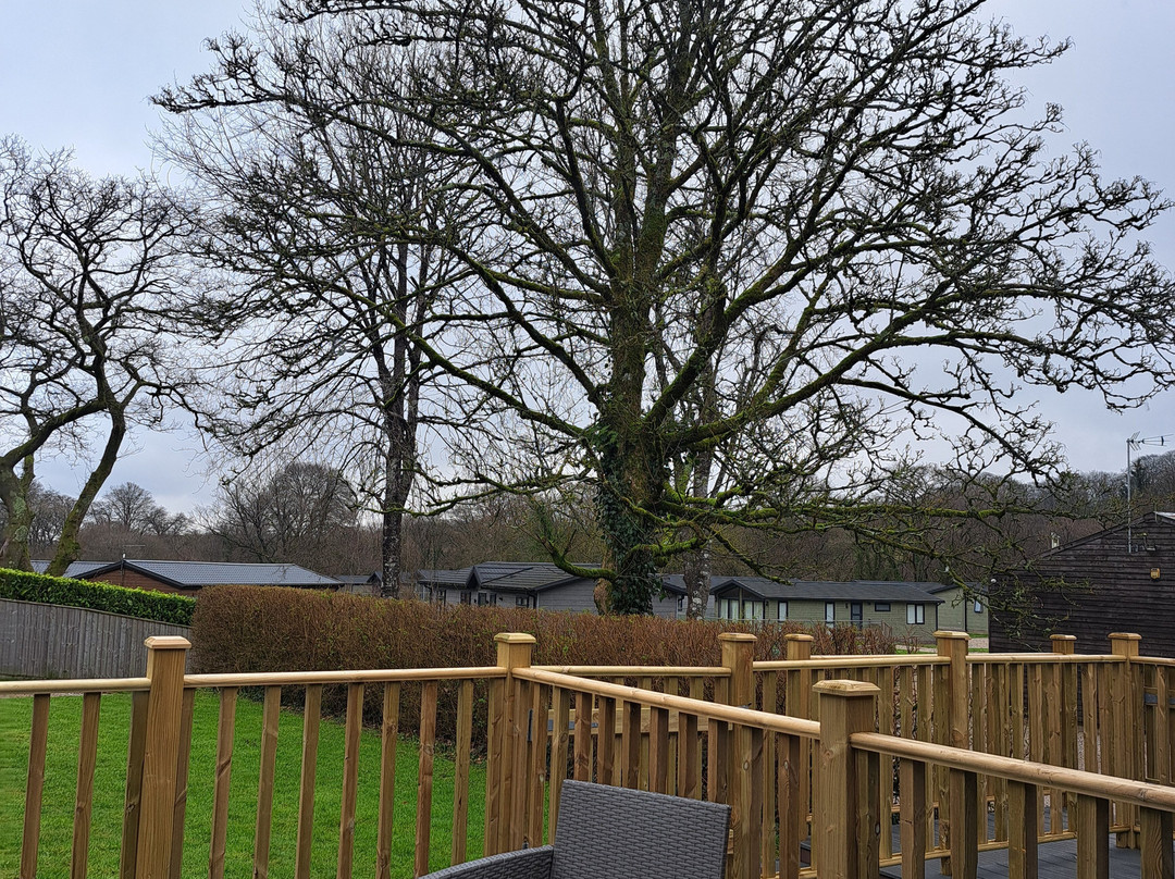 Lakeview Manor主图