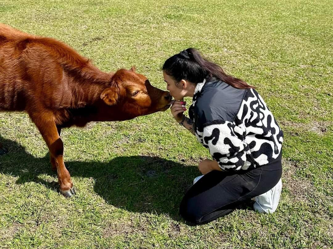 Rooterville Animal Sanctuary-Melrose必去景点