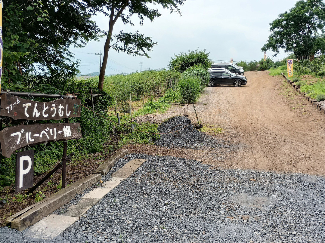 Farm Tentomushi-美里町必去景点