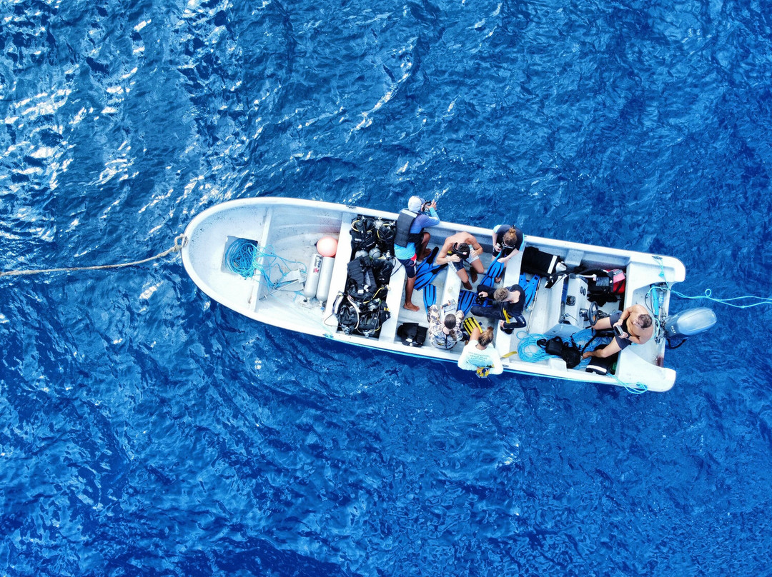 Entre Mares Dive Center景点图片
