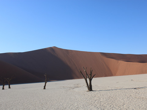 Safari World Tours-温德和克必去景点