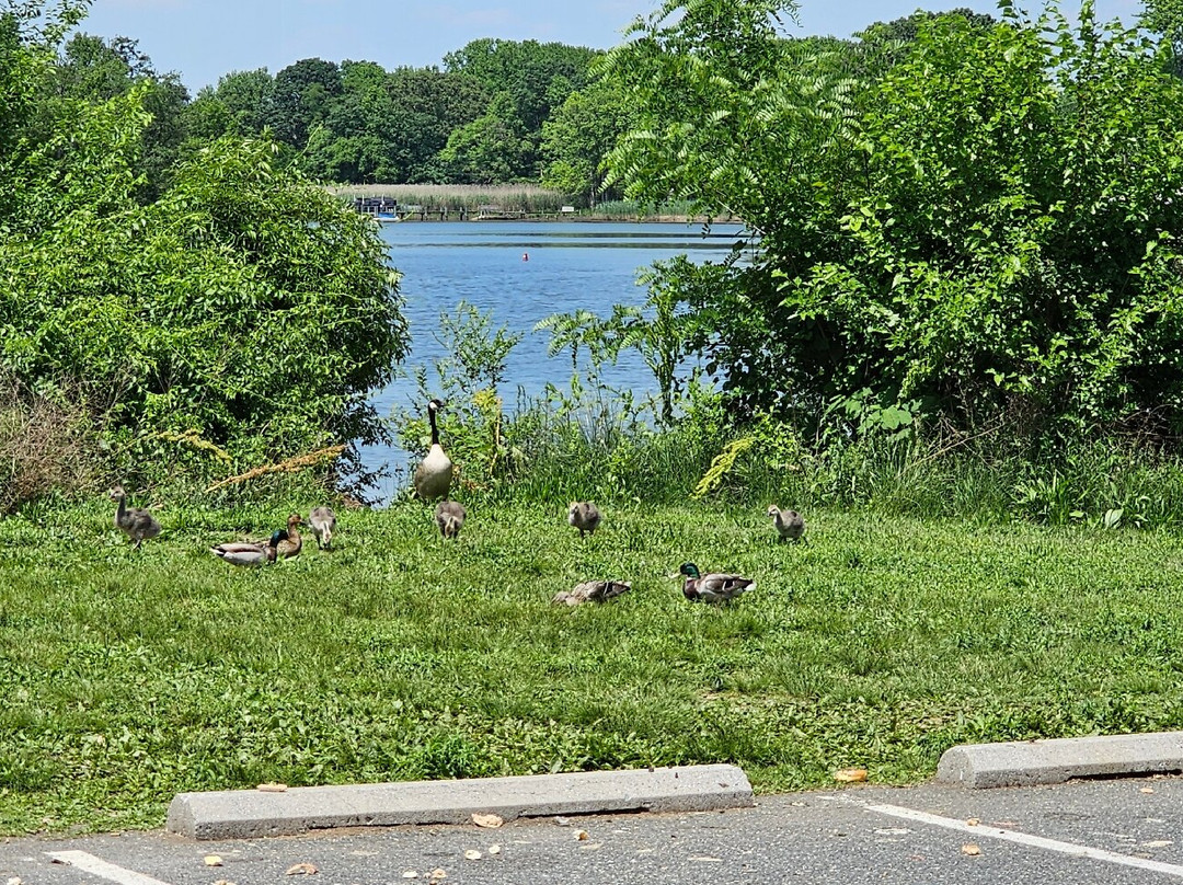 Cox Point Park-Essex必去景点
