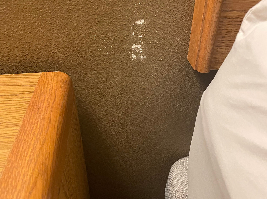 New Victorian Suites主图