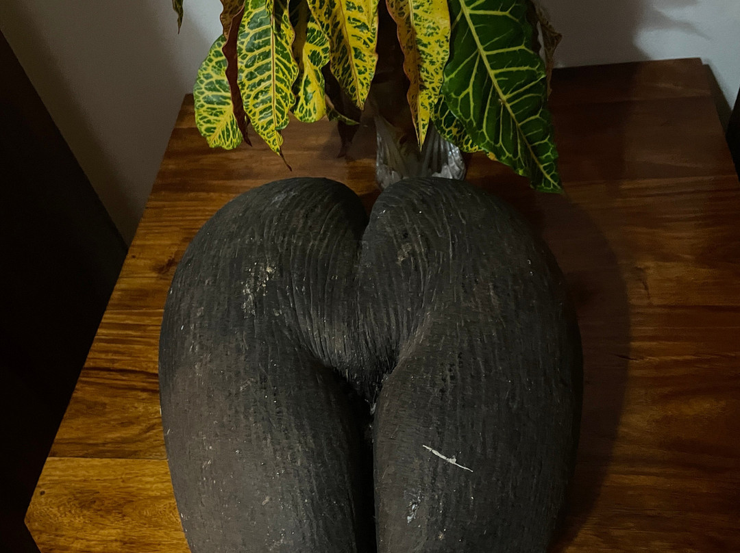 Acquario Villa主图