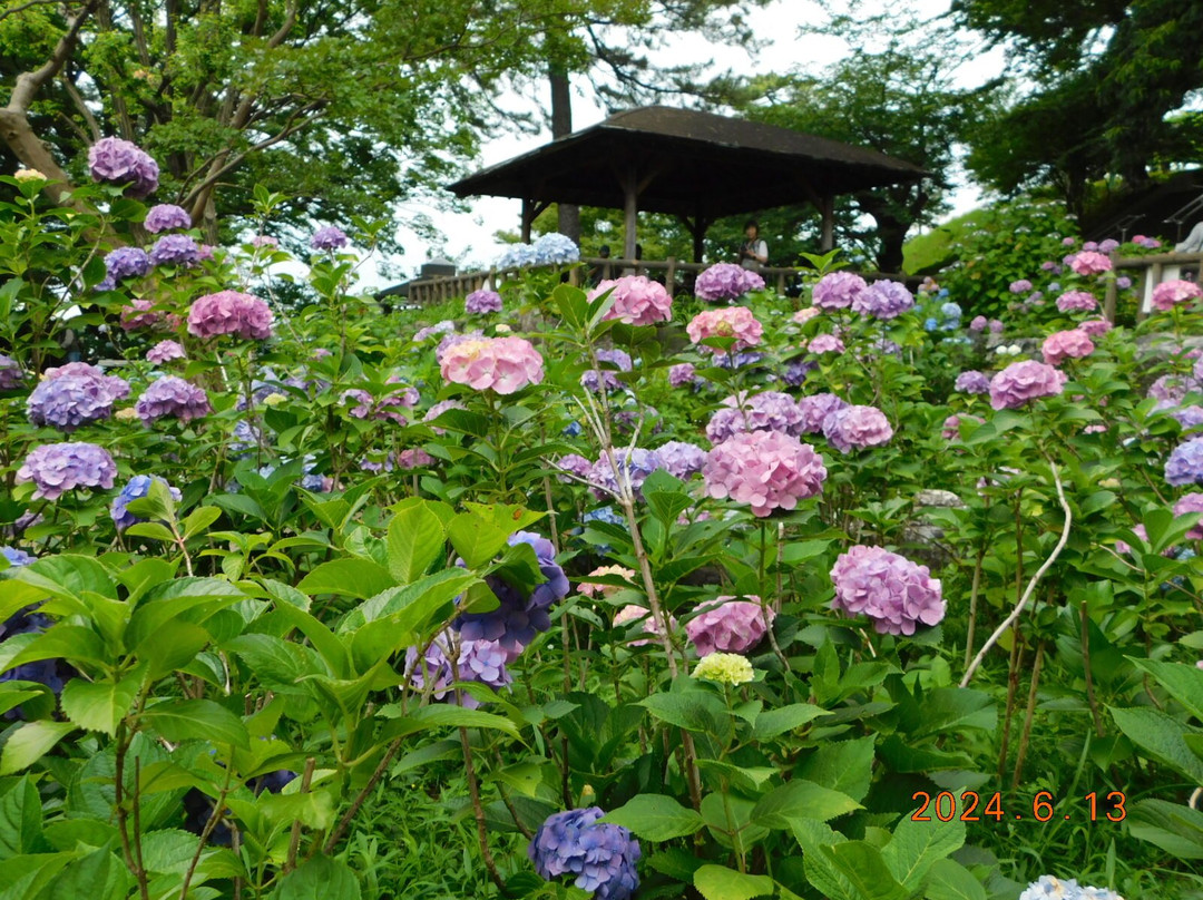 Tamagawadai Park-大田区必去景点