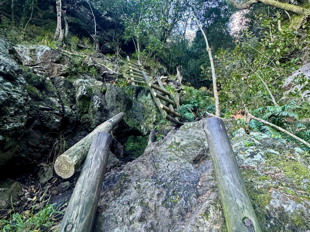 Cape Trekking-桌山国家公园必去景点