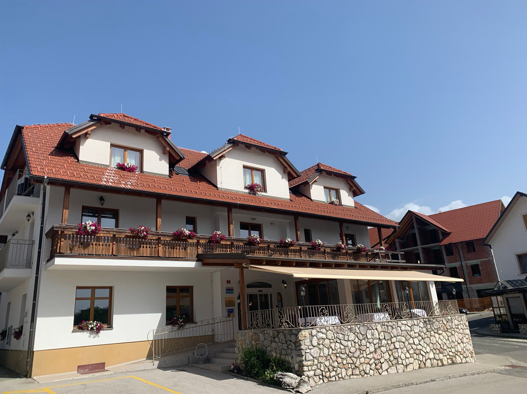 Hotel Planinka主图