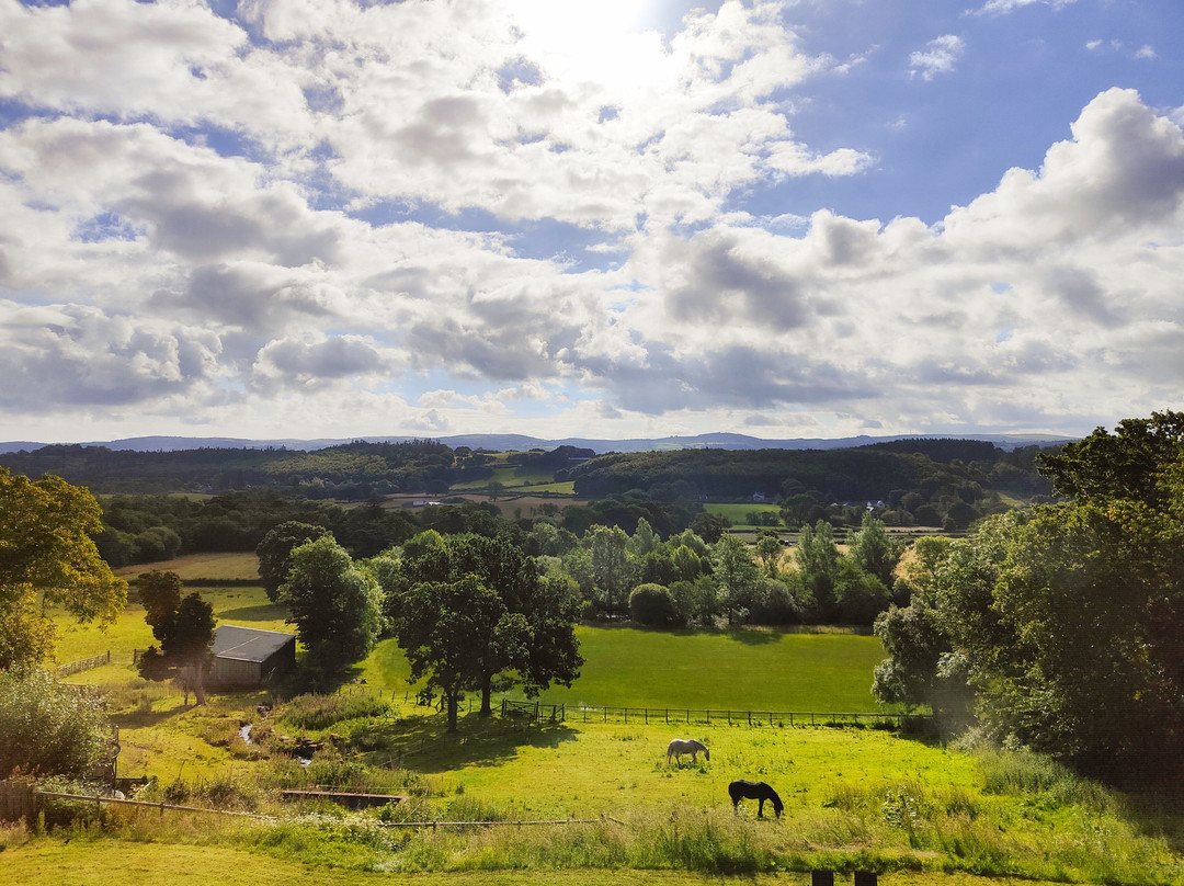 Coed Mawr Hall Bed & Breakfast主图