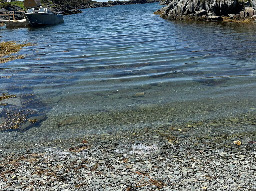 Hare Bay Adventures-Hare Bay必去景点