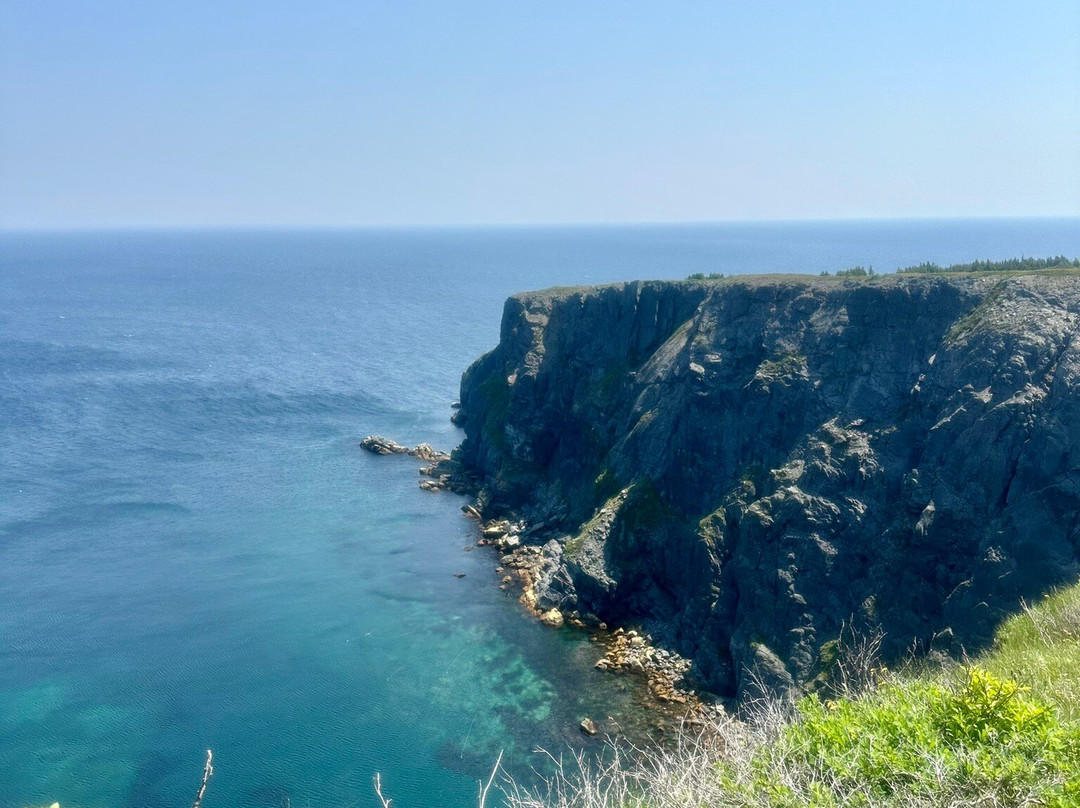 Jimmy's Place B&B主图